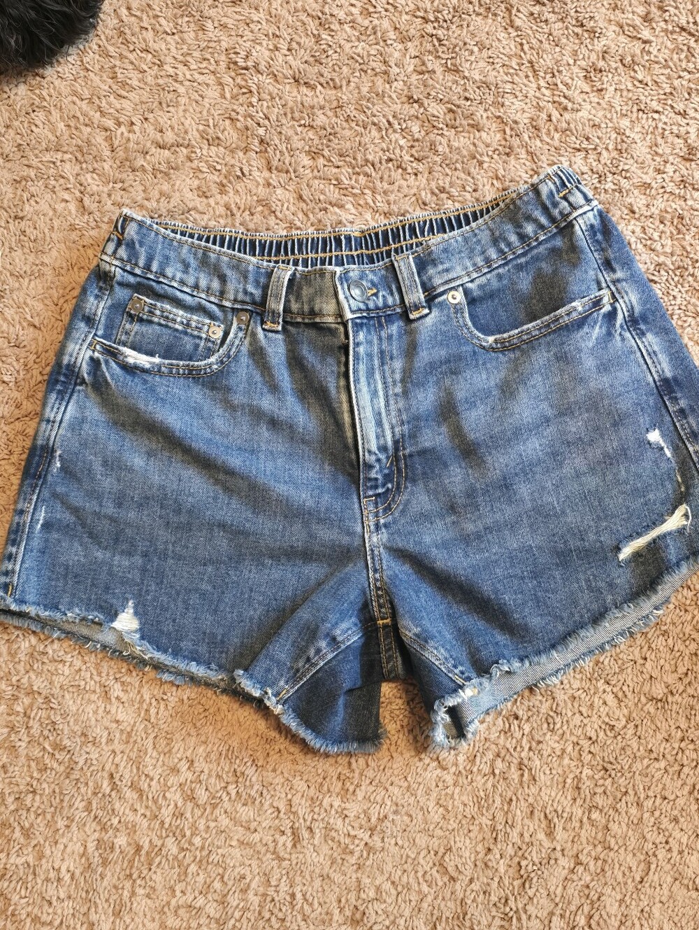 Aerie Daydream Distressed Denim Shorts Medium Wash Size M